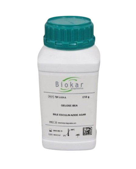 Untitled_design_-_2025-03-17T143004.327-removebg-preview